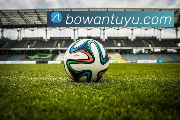 App Interface Preview